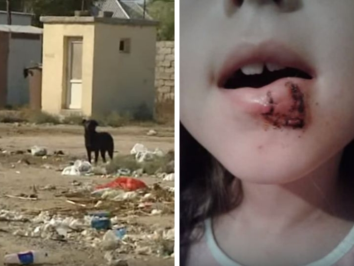 Опубликованное фото